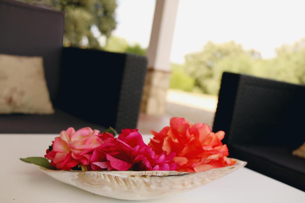 La Sierrezuela Guest House Posadas Ngoại thất bức ảnh